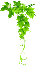 开云 - Kaiyun中国站首页 - 官网入口-kaiyun