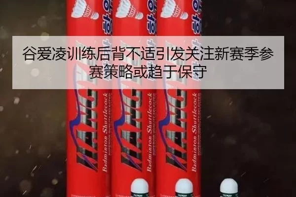 谷爱凌训练后背不适引发关注新赛季参赛策略或趋于保守